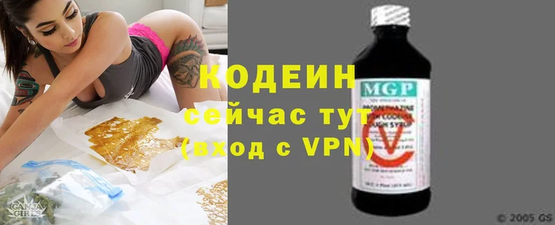 Кодеин напиток Lean (лин)  купить наркотики цена  Катайск 