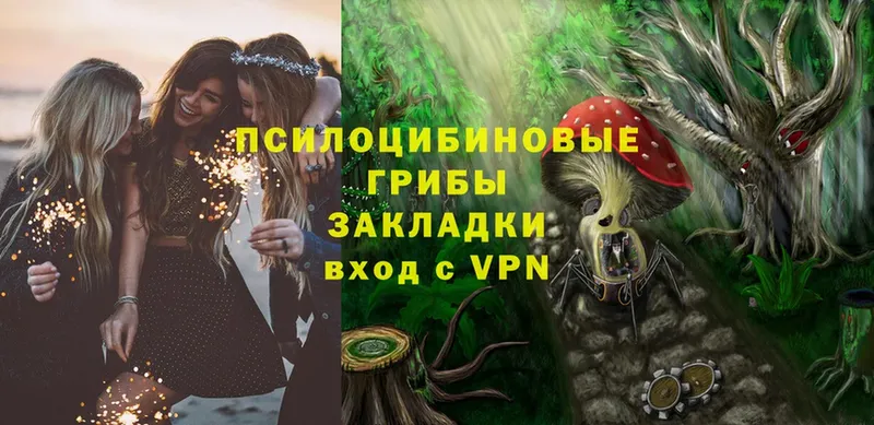 Псилоцибиновые грибы GOLDEN TEACHER  купить  сайты  ОМГ ОМГ ТОР  Катайск 